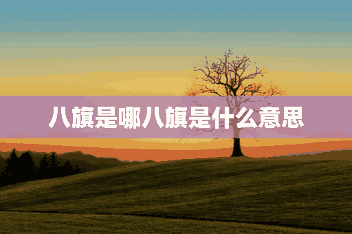 八旗是哪八旗是什么意思(清朝八旗是哪八旗是什么意思)